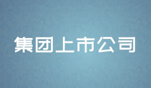 集團上市公司網站設計及網站規劃方案